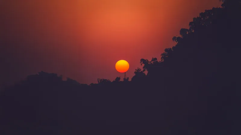 Minimalist Crimson Sunrise and Tree Silhouette PC Background HD