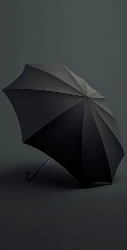 Black Umbrella