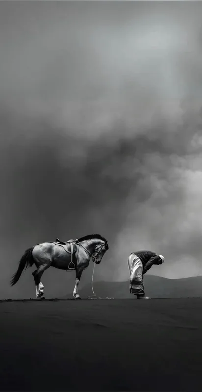 A Horse and Rider in a Misty Landscape