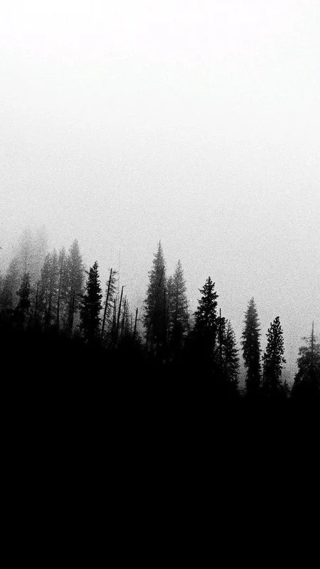 Tree Noir