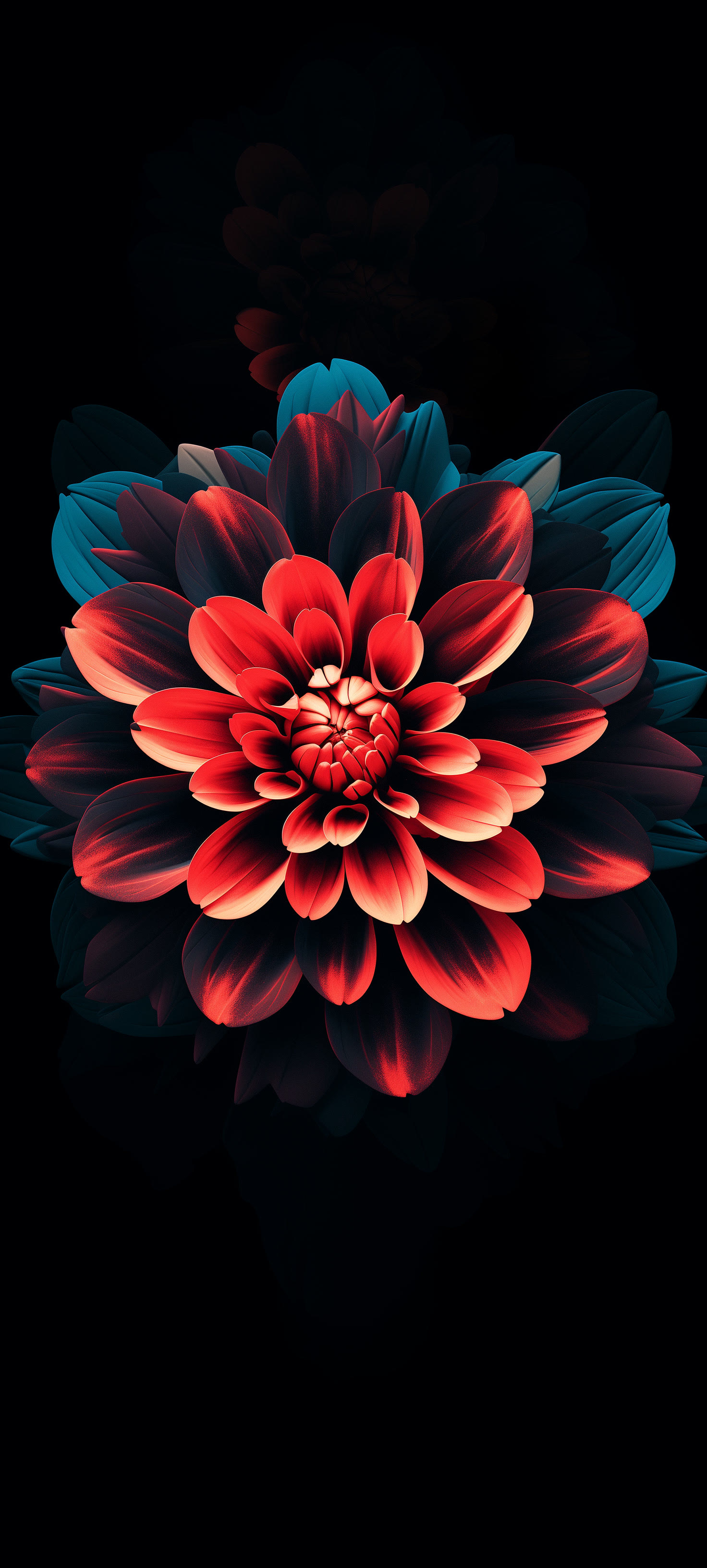 Dark Dahlia Flower Phone Wallpaper 4K