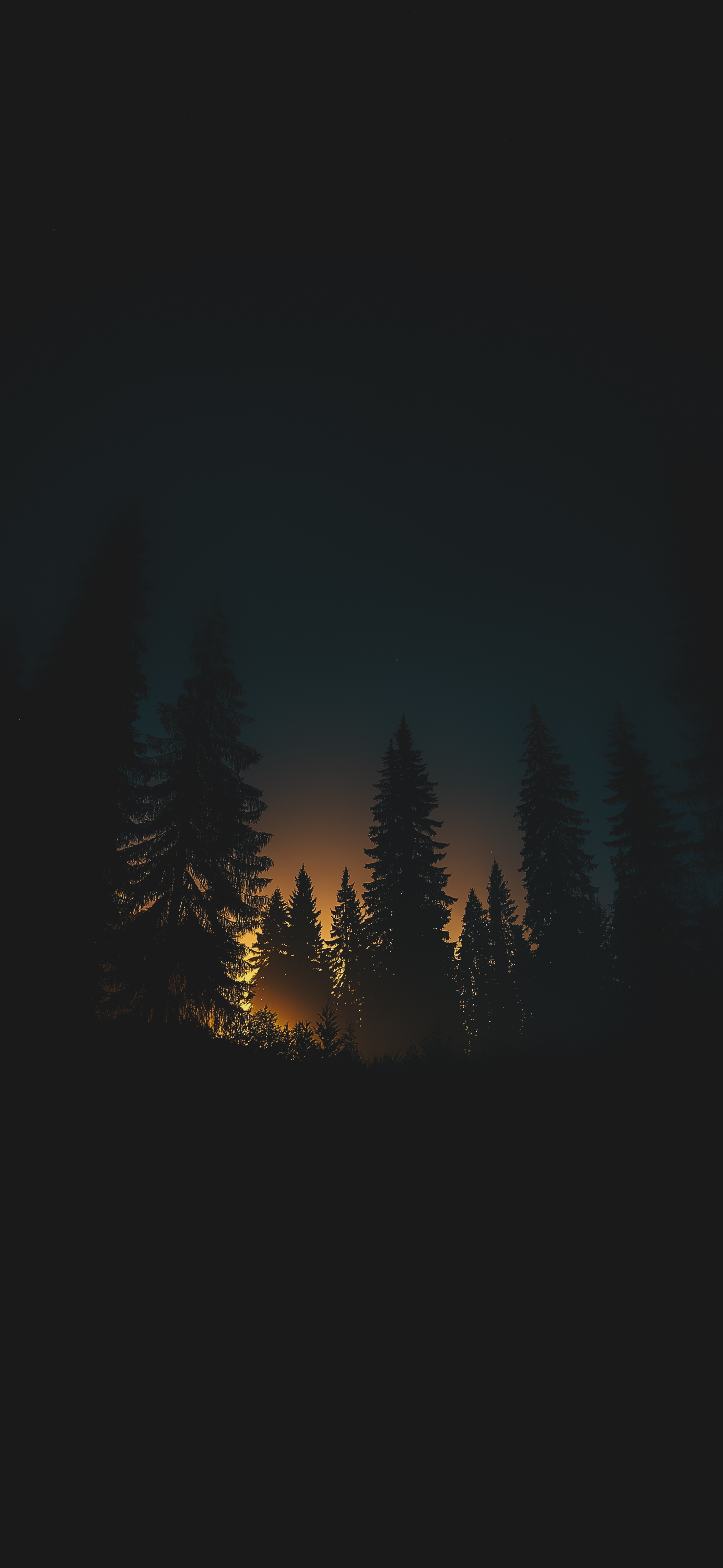 Mysterious Dark Woods Sunset Silhouette – Aesthetic Phone Lock Screen 4K