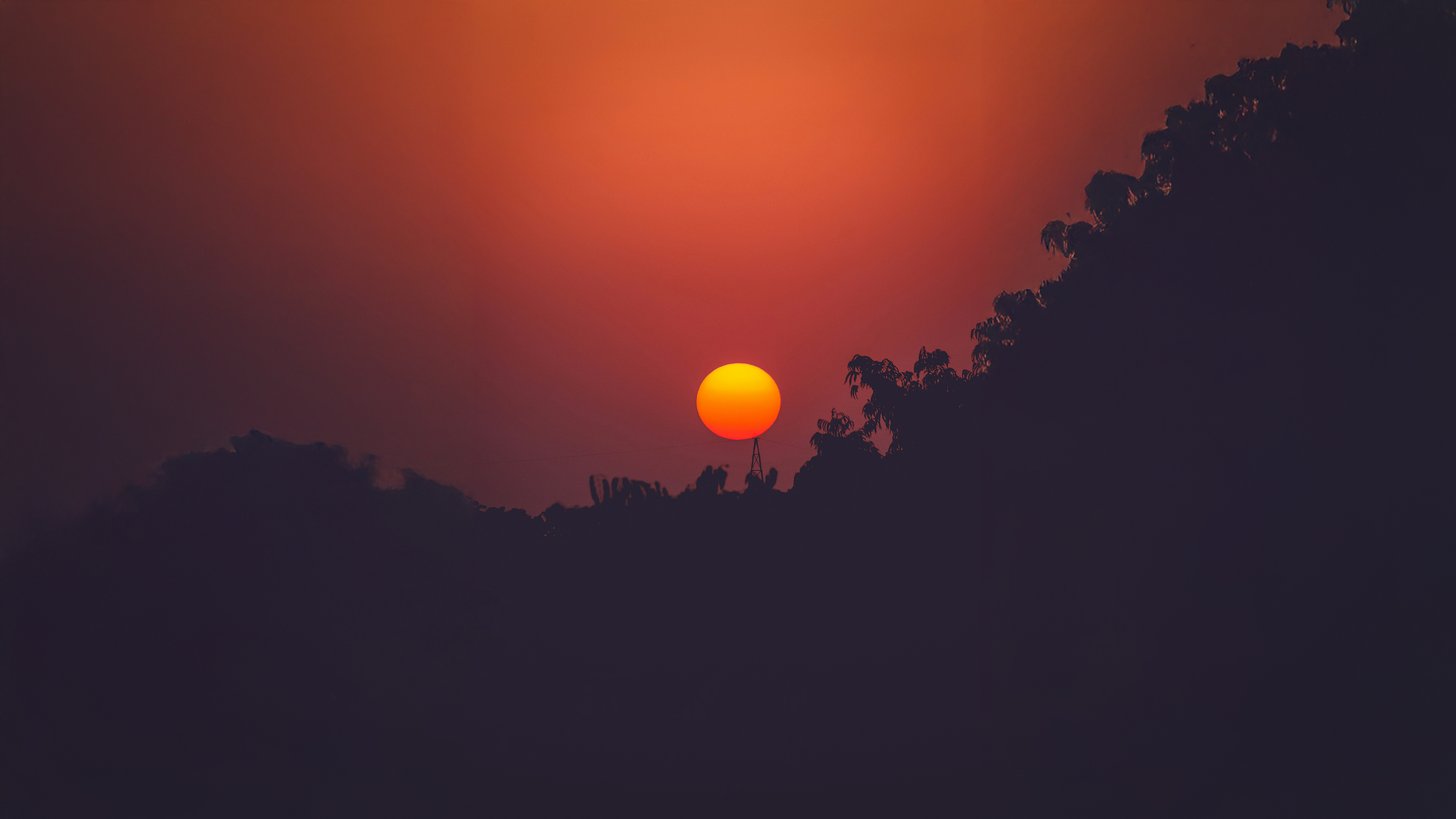 Minimalist Crimson Sunrise and Tree Silhouette PC Background HD