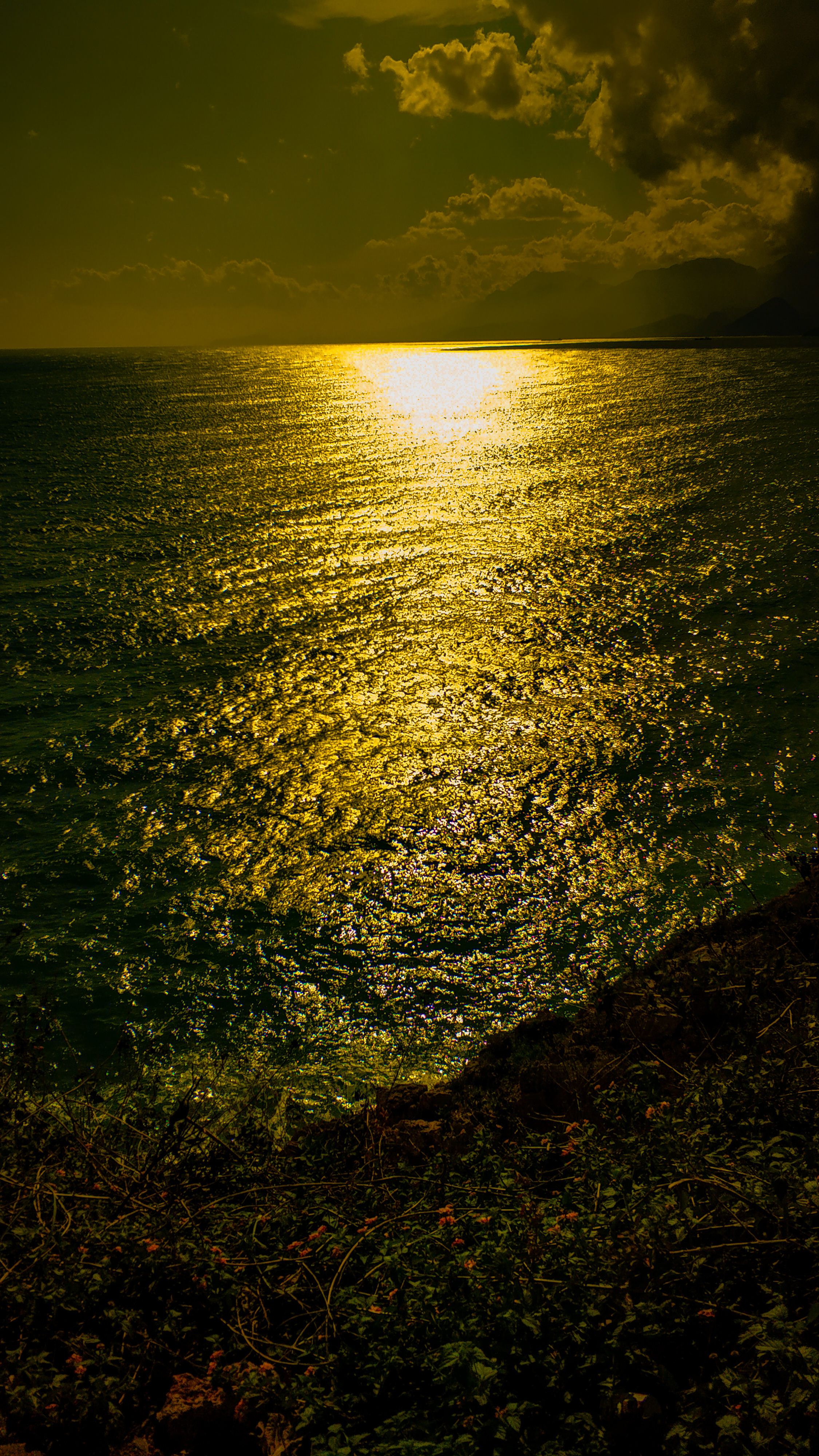 Golden Sunlight Reflecting on Ocean Waves
